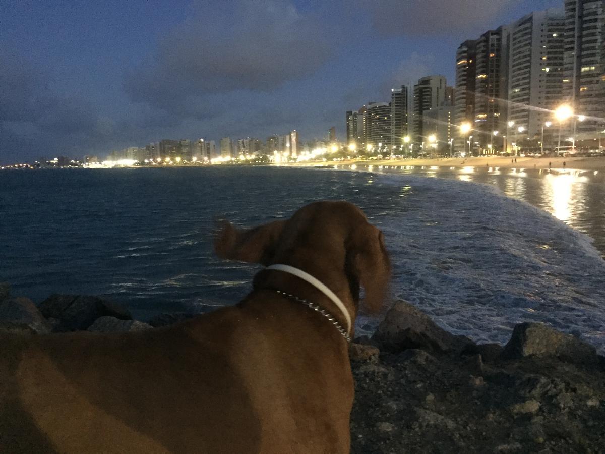 Apartamento Na Melhor Localizacao De Fortaleza!! Buitenkant foto